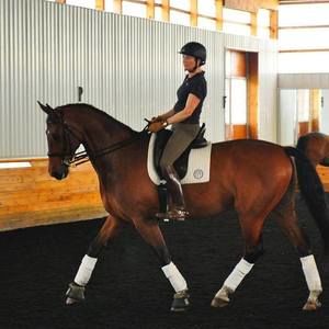 Meet your Posher, Molly